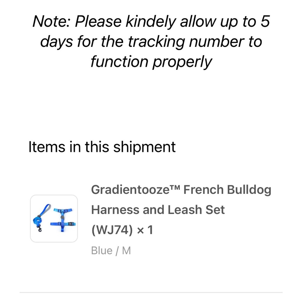 NEW Grandiooze Everking Frenchie Harness & Leash Set - Picture 6 of 11